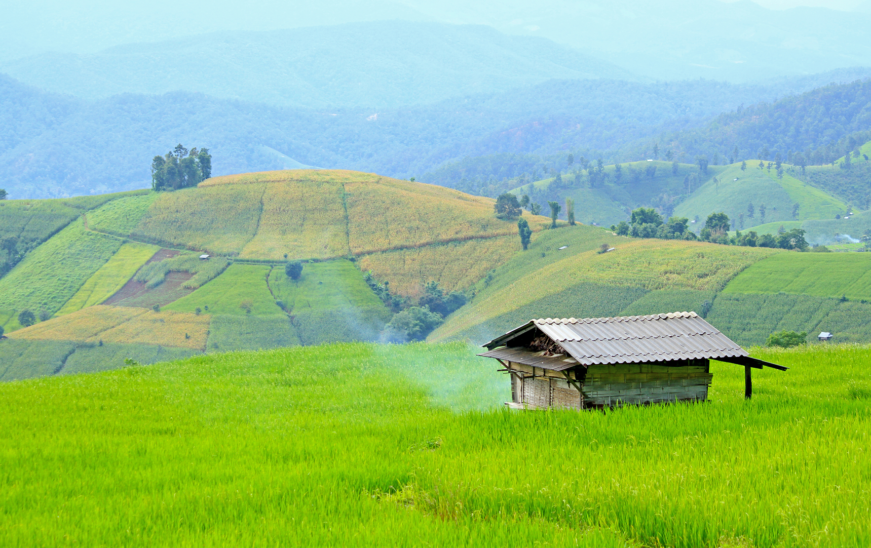 Nông sản Cao Phát