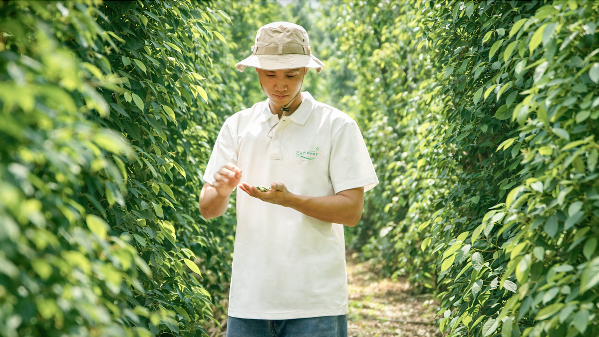 Background Section 3